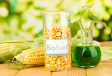 What Is Biofuel? Understanding Biofuel and Storage