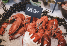 Tips for Buying and Choosing Fresh Lobsters